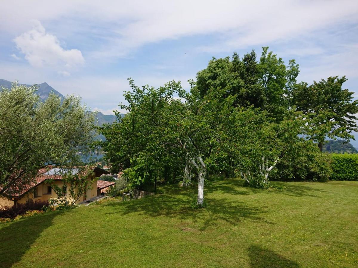 Villa Primula Bellagio Buitenkant foto