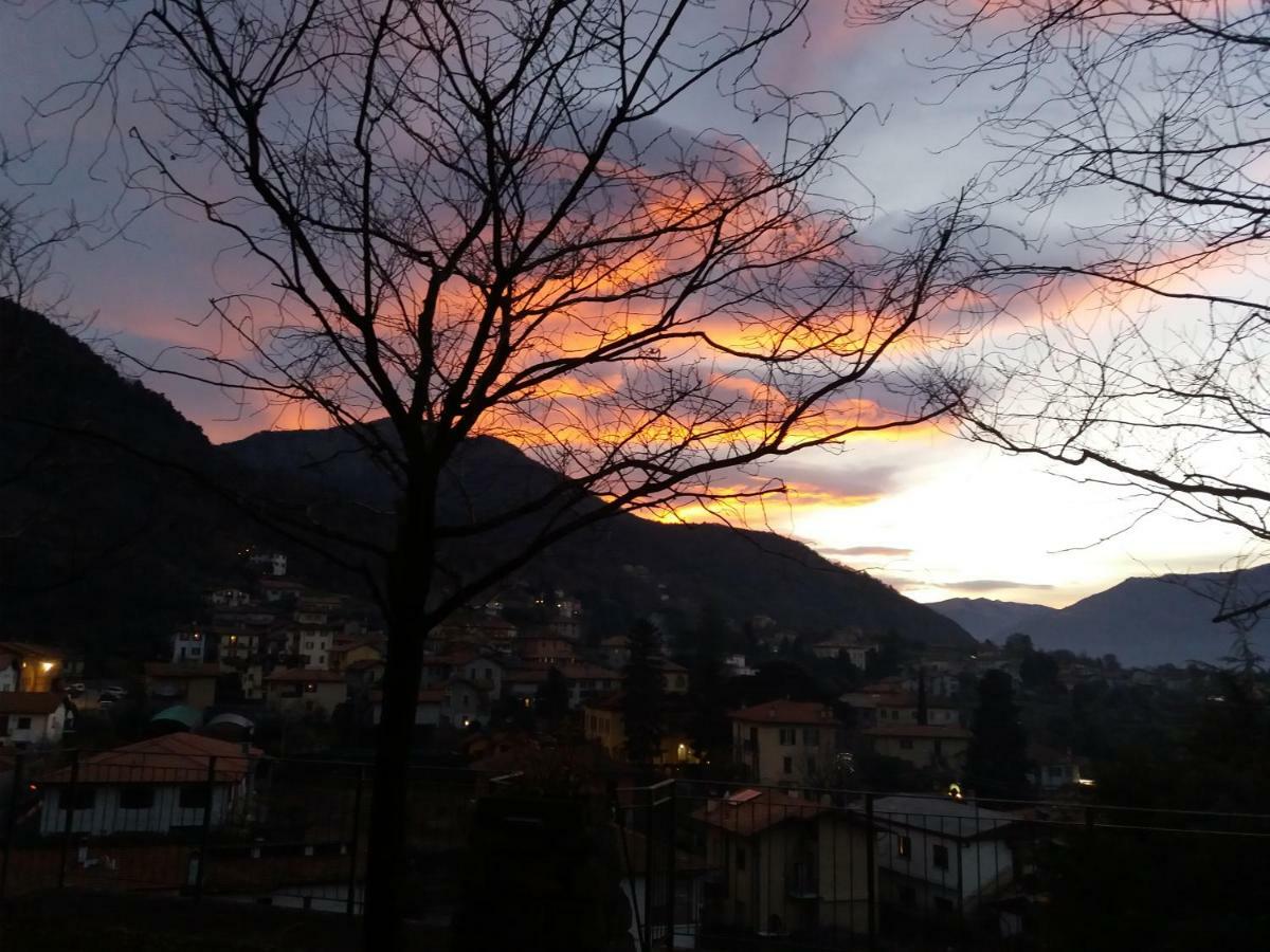 Villa Primula Bellagio Buitenkant foto